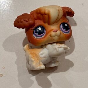 Lps littlest pet shop poodle dog